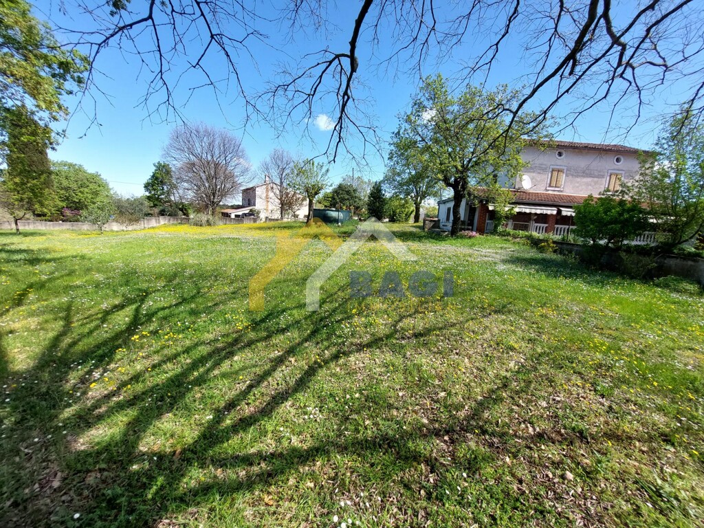 Image 5317804 - 10