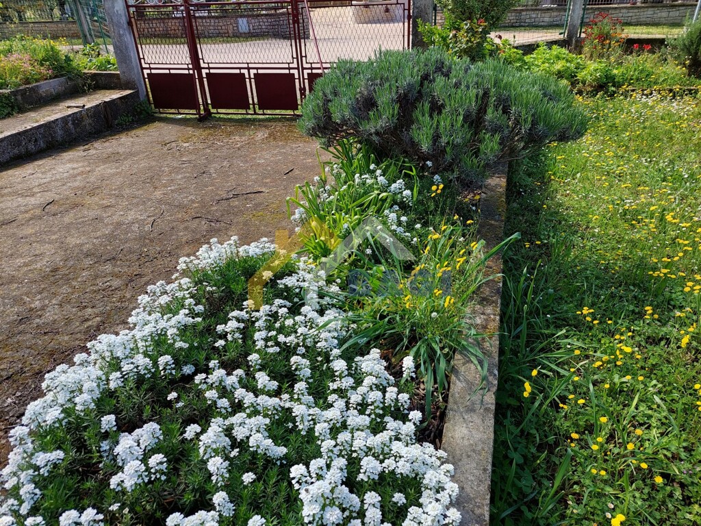 Image 5317804 - 6