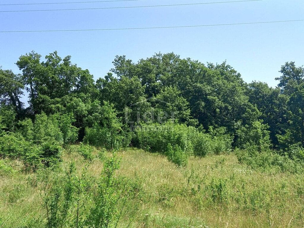 Image 5319876 - 3