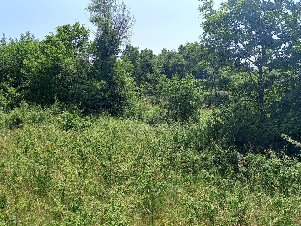 Image 5319876 - 6