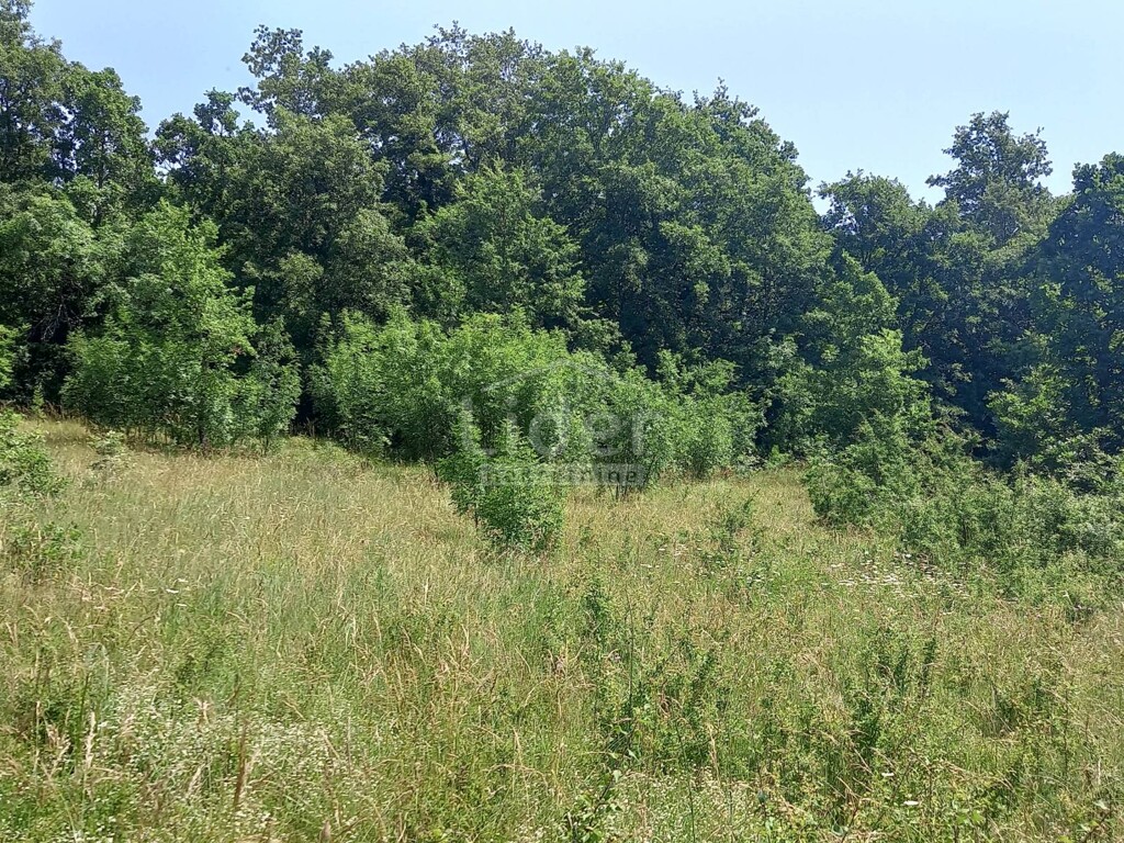 Image 5319876 - 4