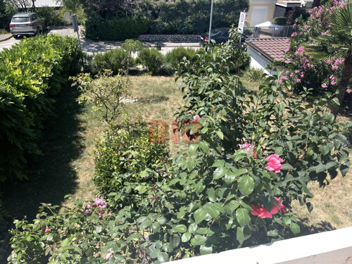 Thumbnail 5319904 - 6