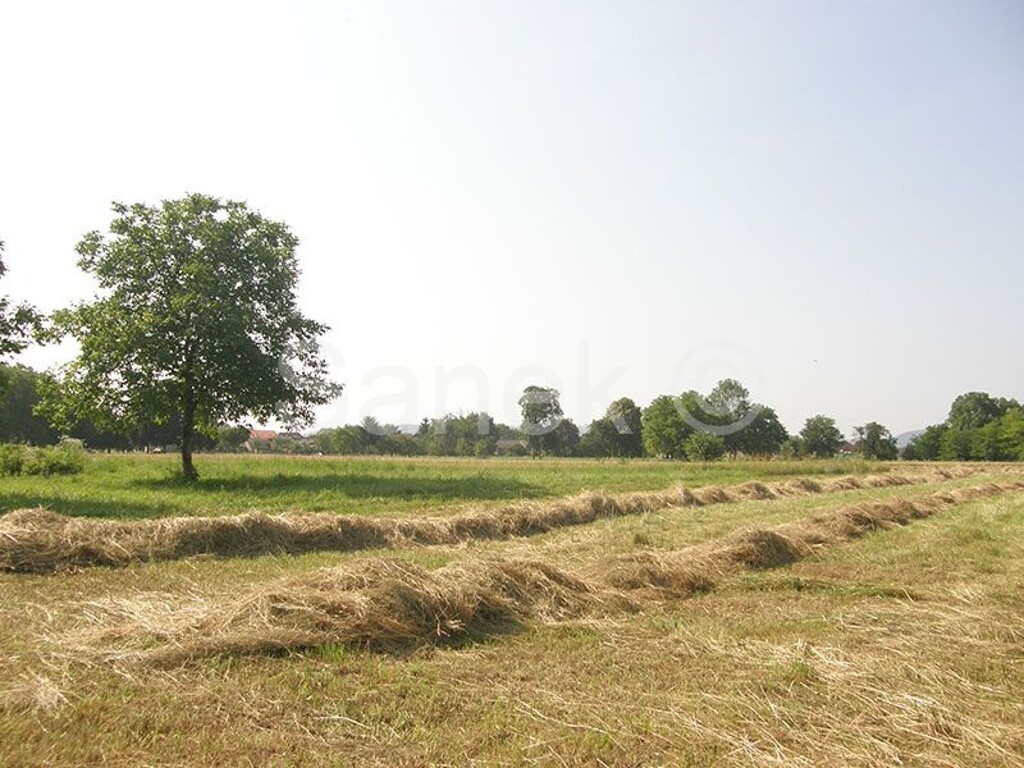 Image 5320100 - 3