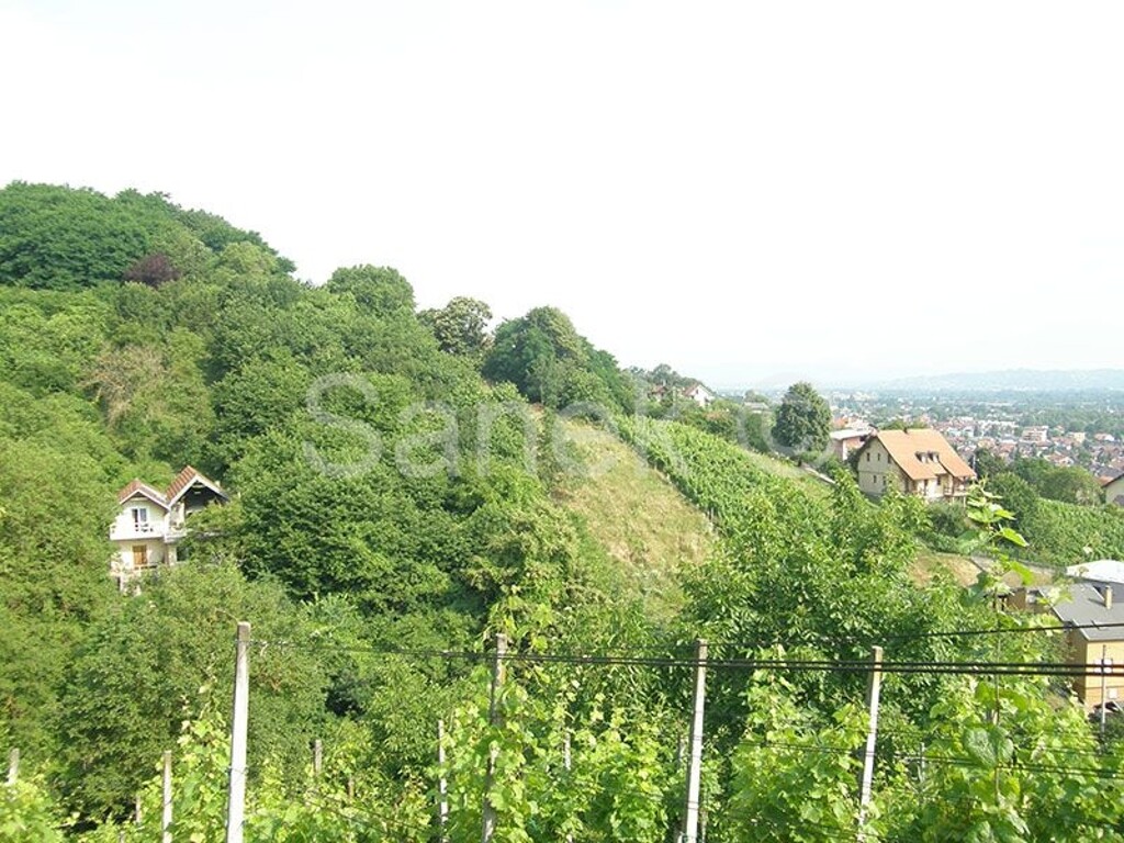 Image 5320562 - 3
