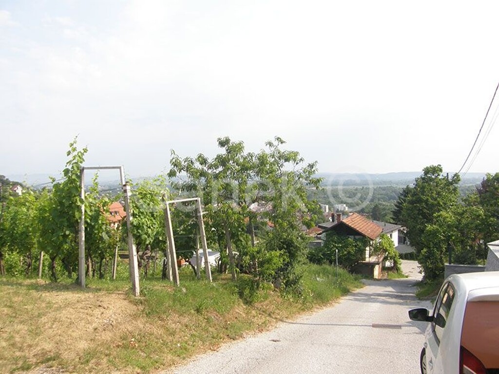 Image 5320562 - 4