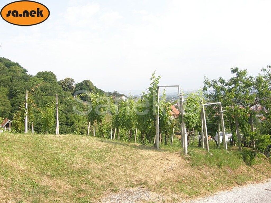 Image 5320562 - 1