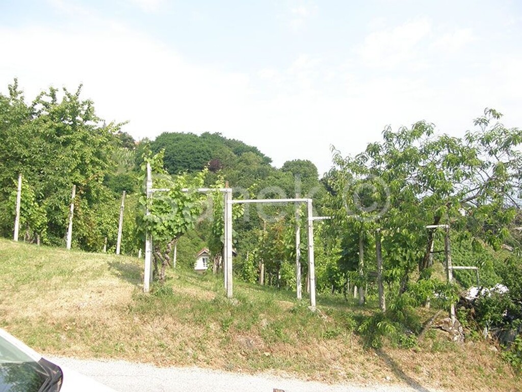 Image 5320562 - 5