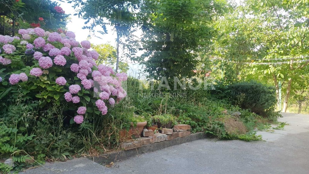 Image 5323166 - 8