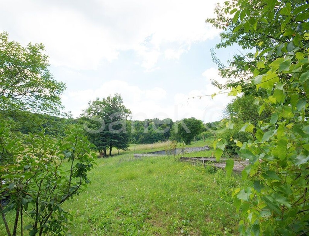 Image 5323848 - 4