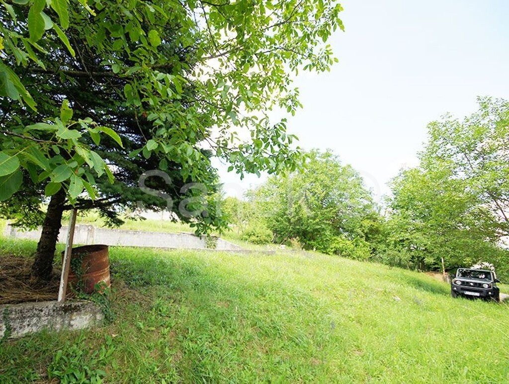 Image 5323848 - 3