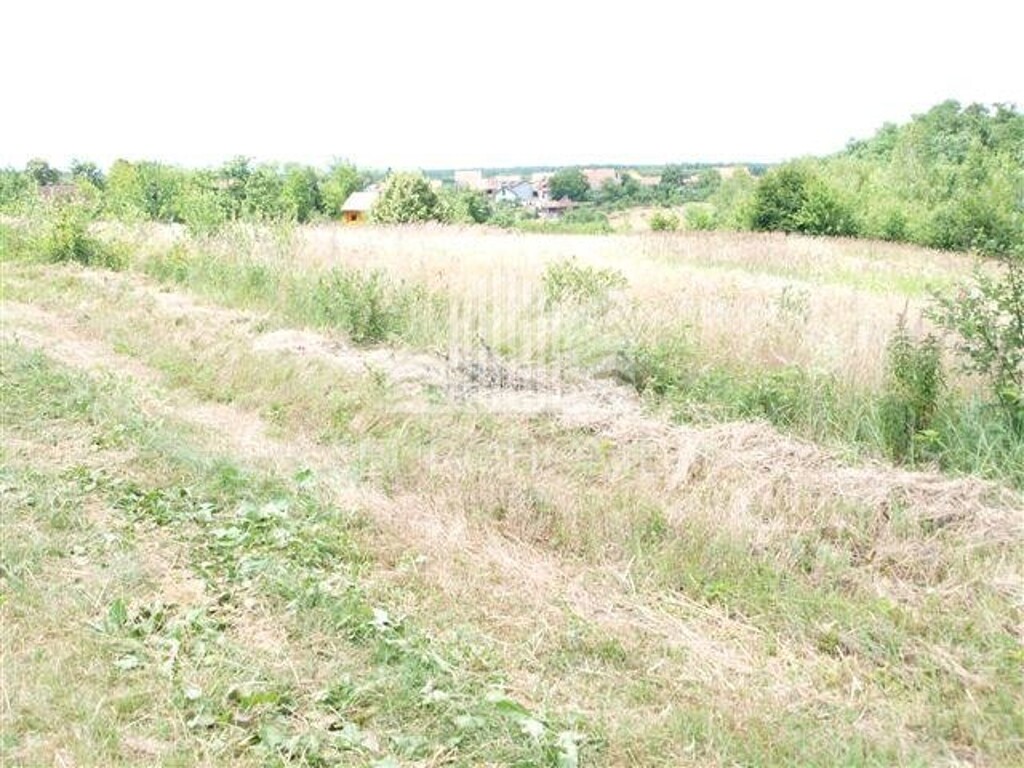 Image 5324169 - 2