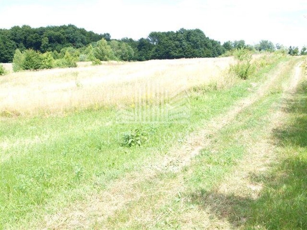 Image 5324169 - 1