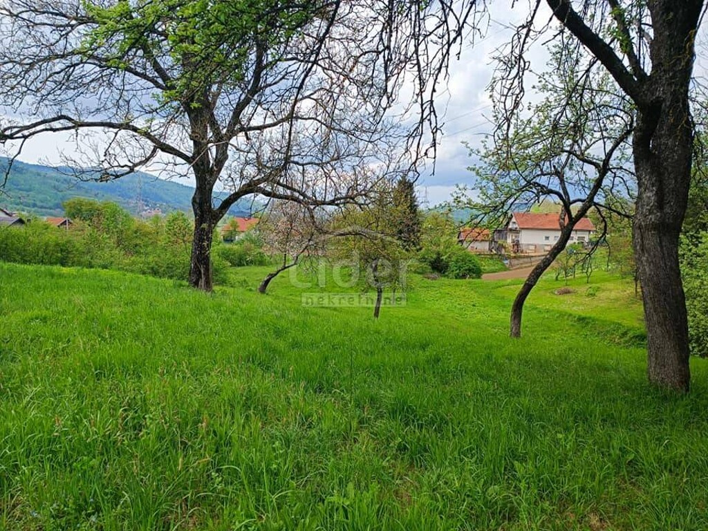 Image 5324790 - 1