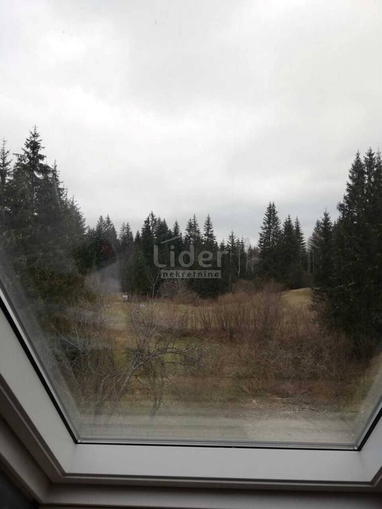 Image 5325412 - 6
