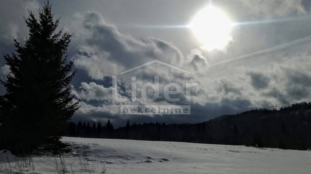 Image 5325412 - 8