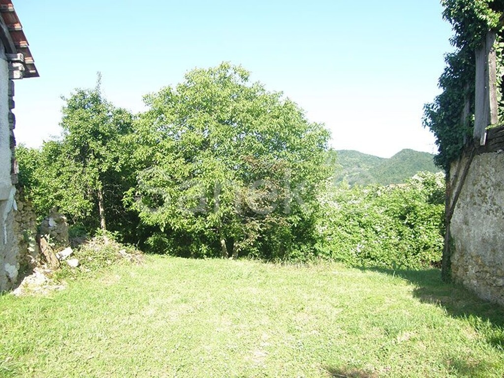 Image 5326035 - 6