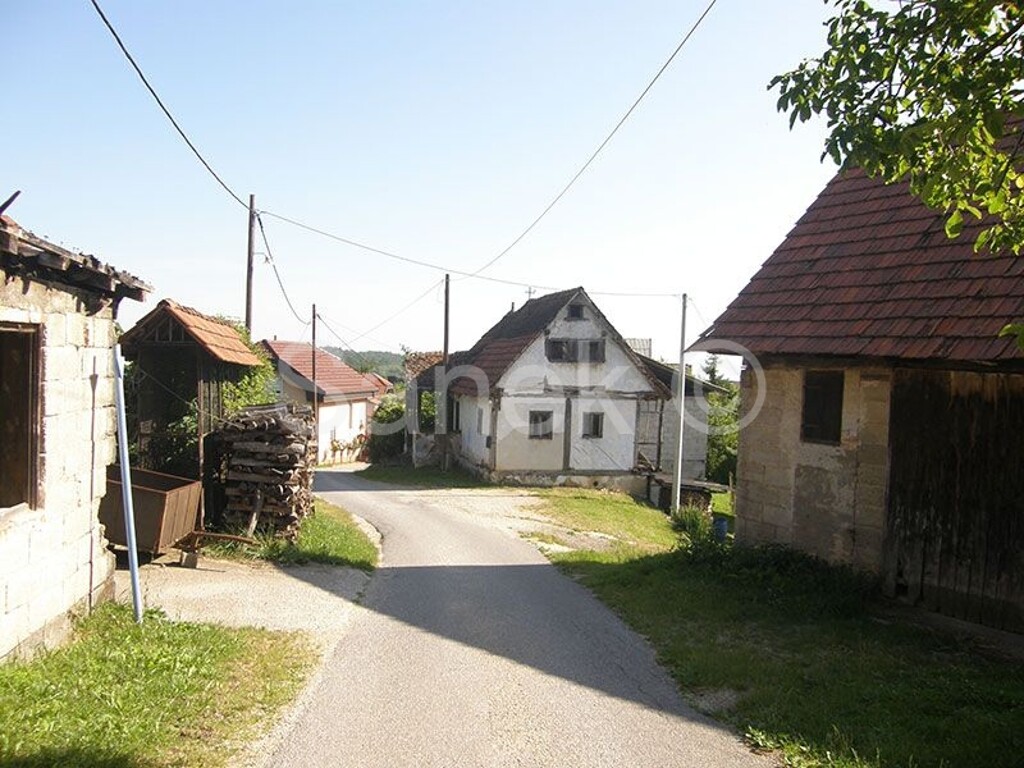 Image 5326035 - 7