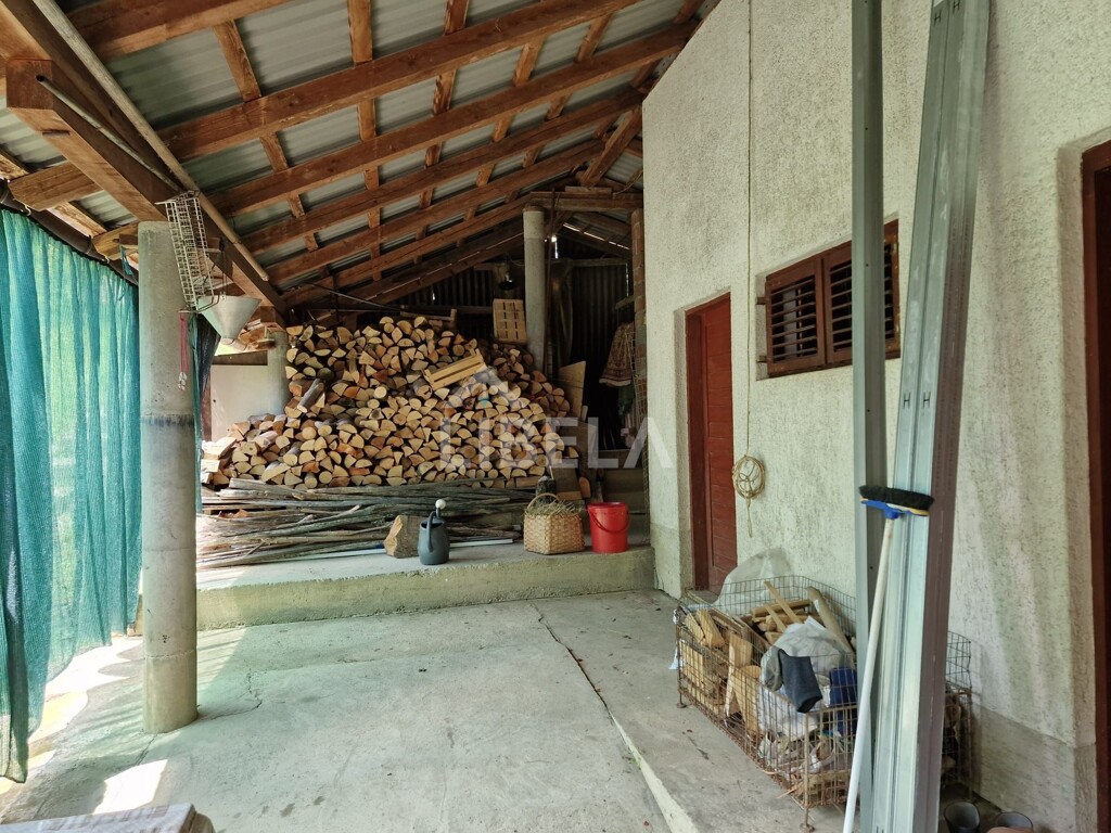 Image 5326166 - 19