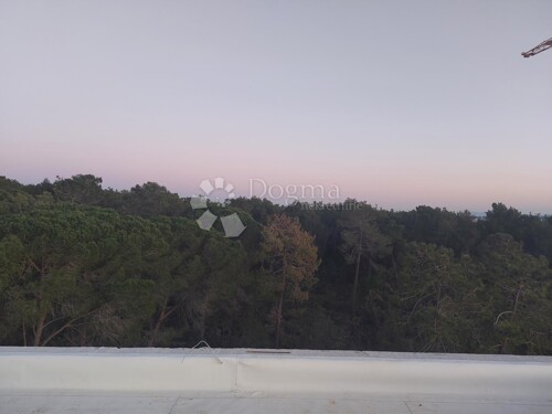 Thumbnail 5326571 - 16