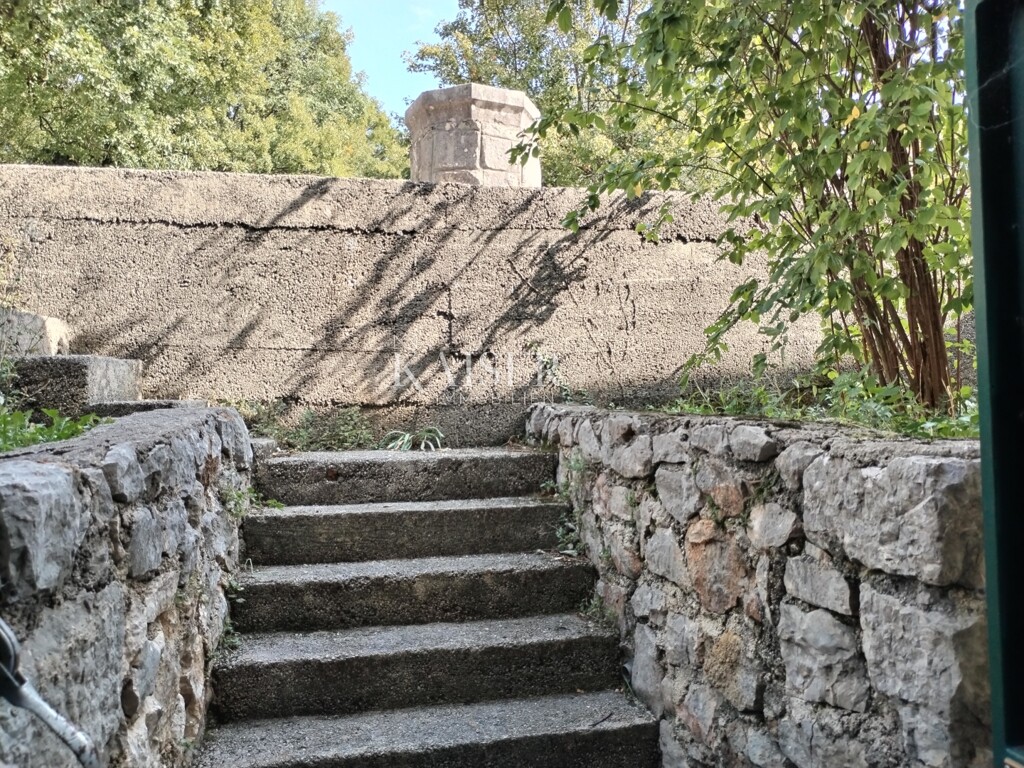 Image 5328914 - 8