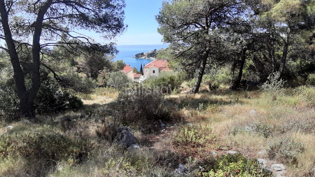 Image 5328941 - 1