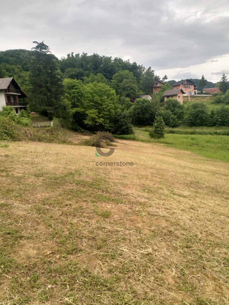 Image 5329019 - 1
