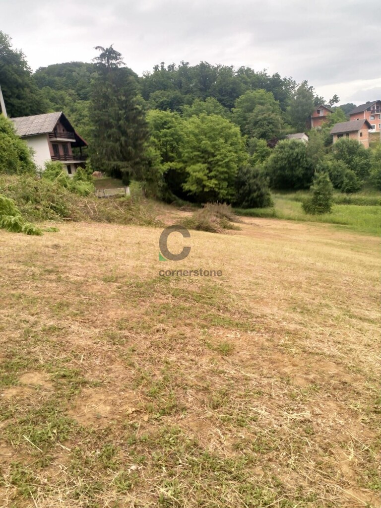 Image 5329019 - 5
