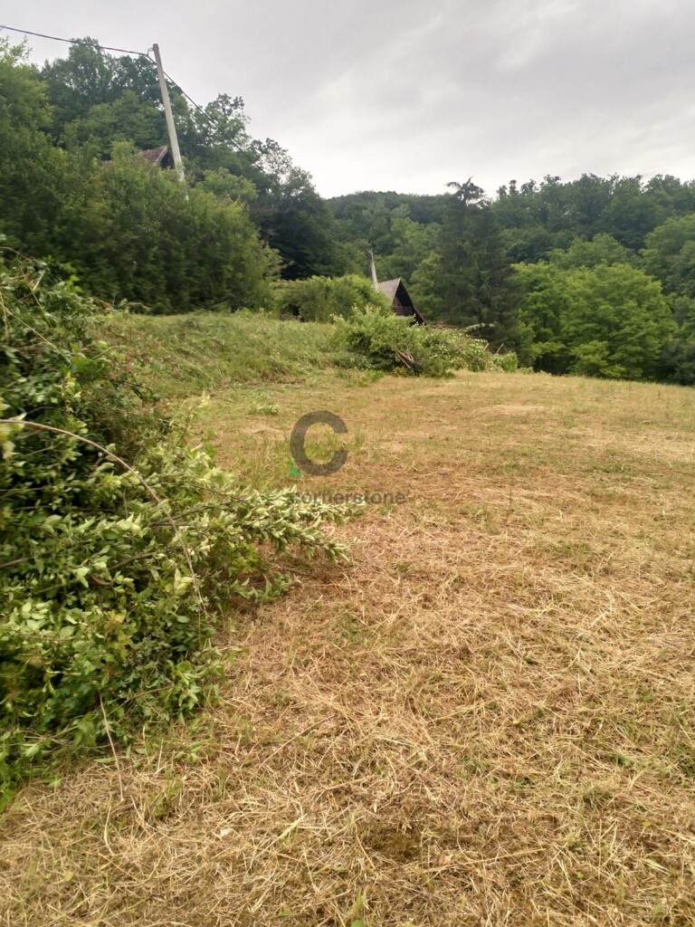 Image 5329019 - 3