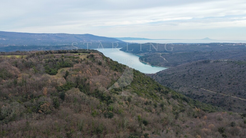 Image 5334864 - 2