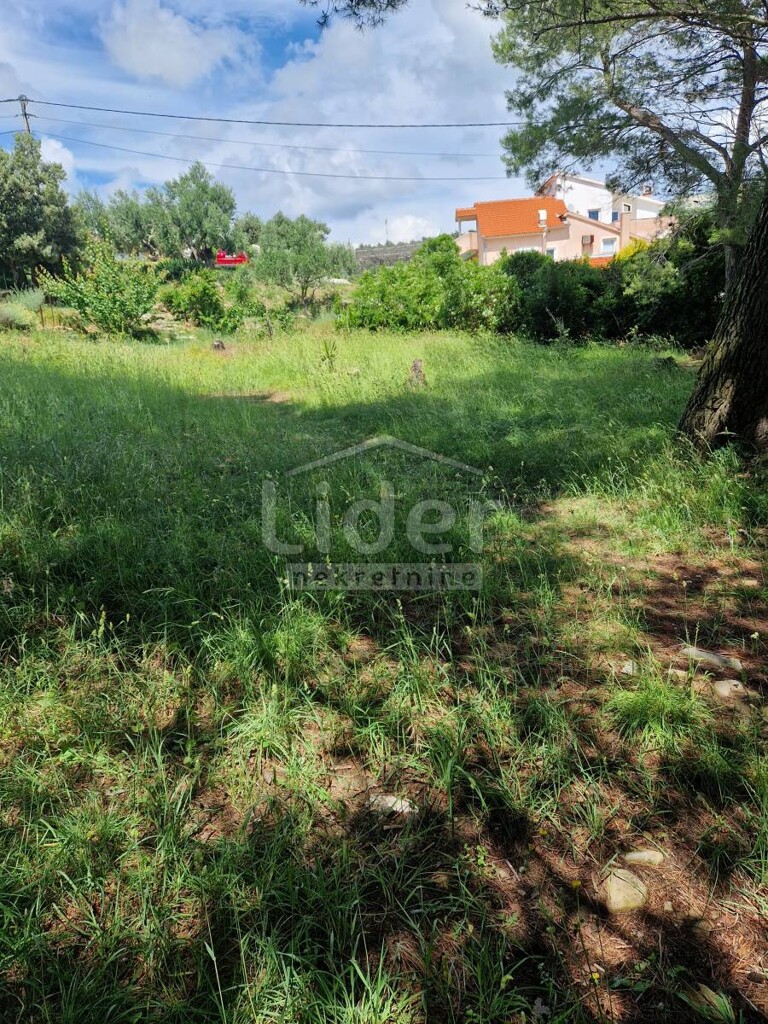 Image 5336828 - 1