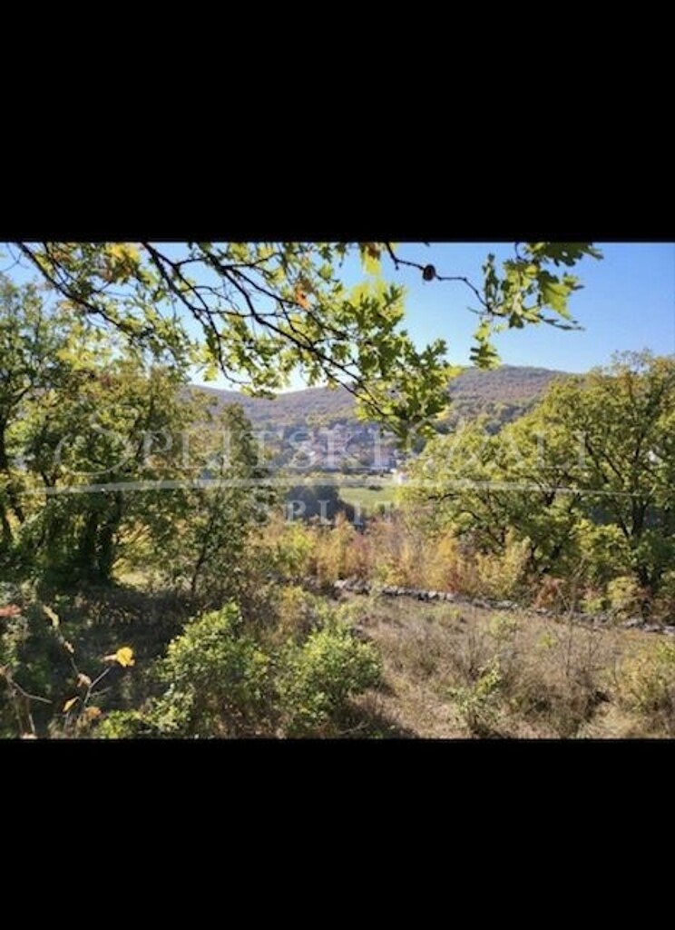 Image 5337006 - 5