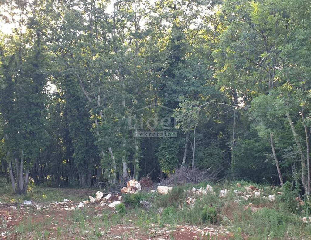 Image 5337906 - 8