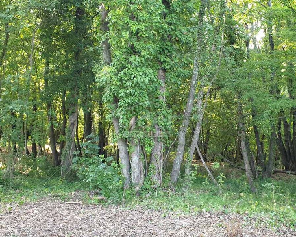 Image 5337906 - 5