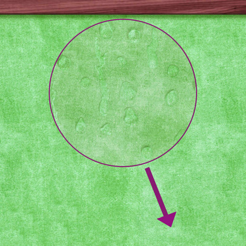 Thumbnail 5338422 - 6