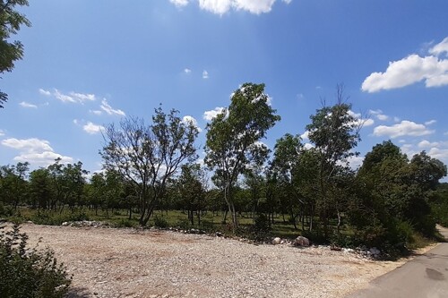 Istra, Barban, 1.5 km od mora, 1280 m2 građevinsko zemljište