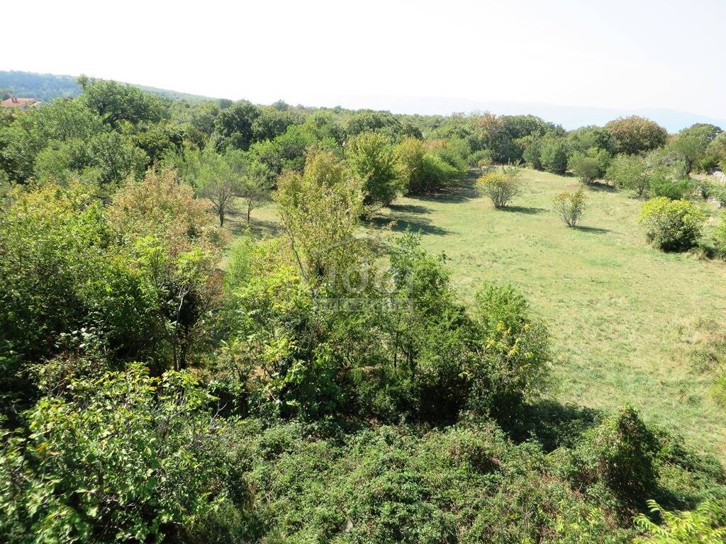 Image 5342326 - 1