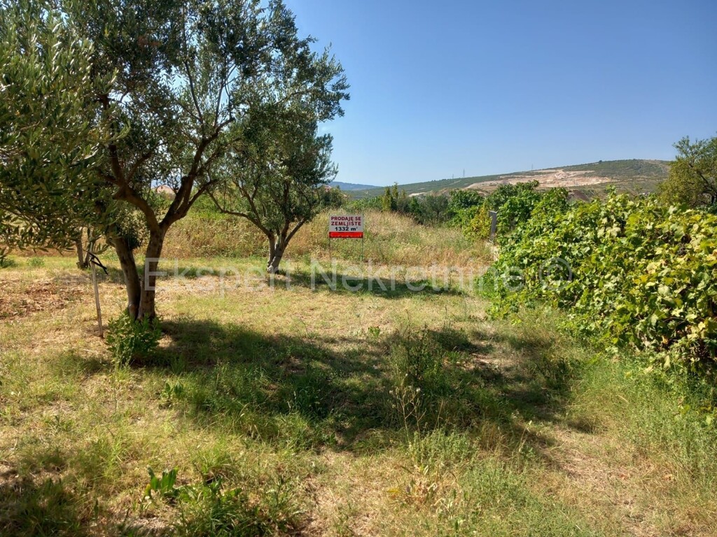 Image 5342415 - 1
