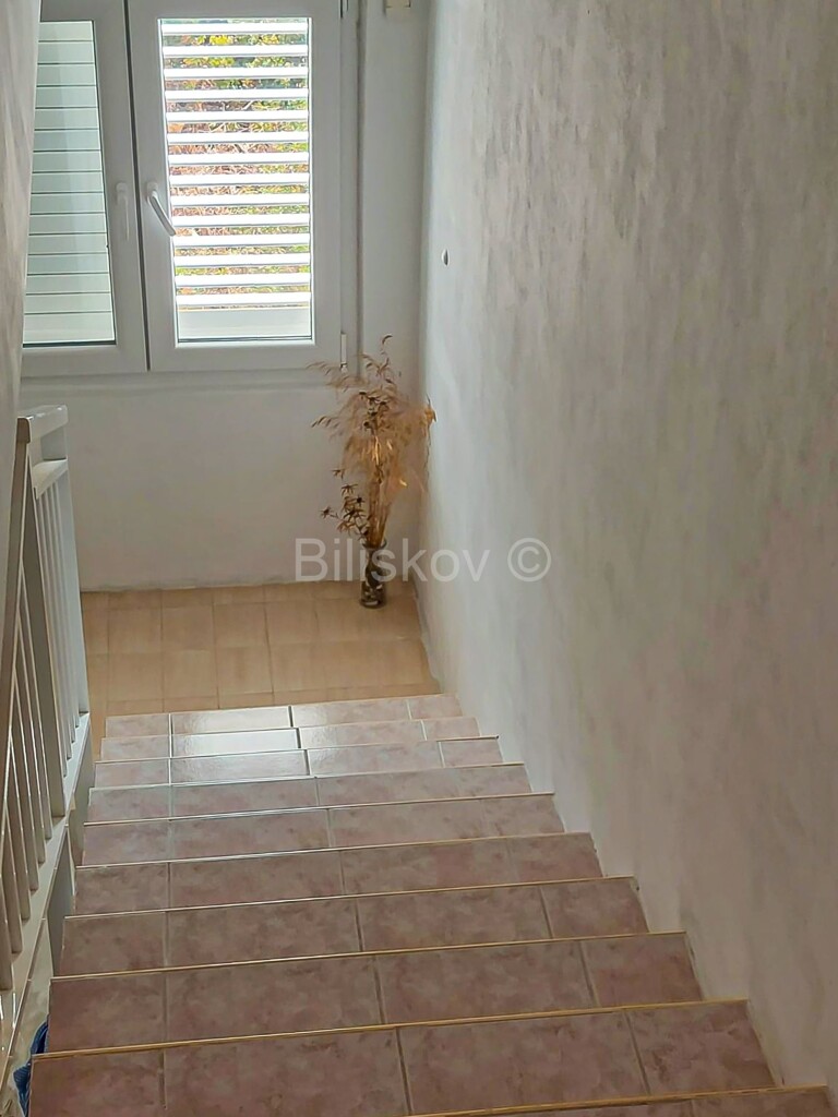 Image 5343238 - 10