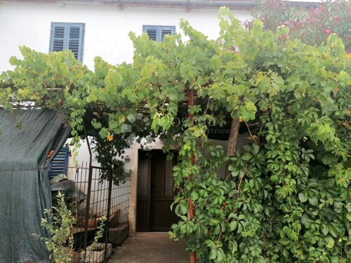 Thumbnail 5358855 - 2