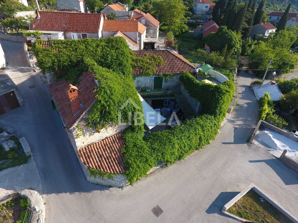 Image 5359479 - 1