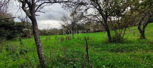 Thumbnail 5359536 - 4
