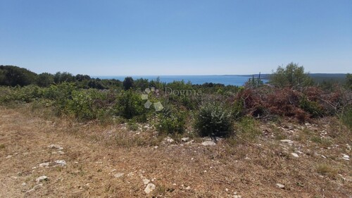 Thumbnail 5360089 - 3