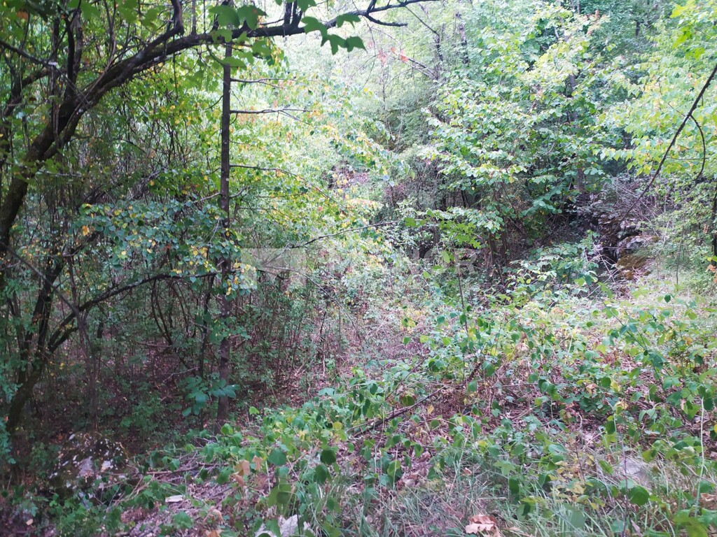 Image 5360338 - 3
