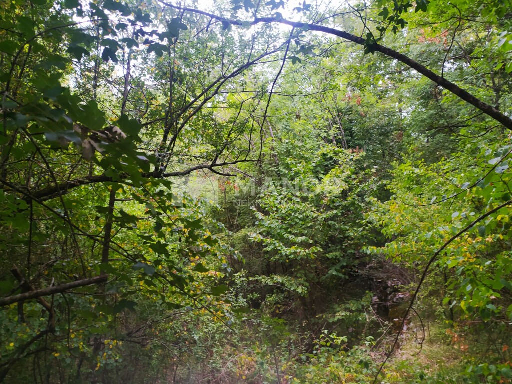 Image 5360338 - 4