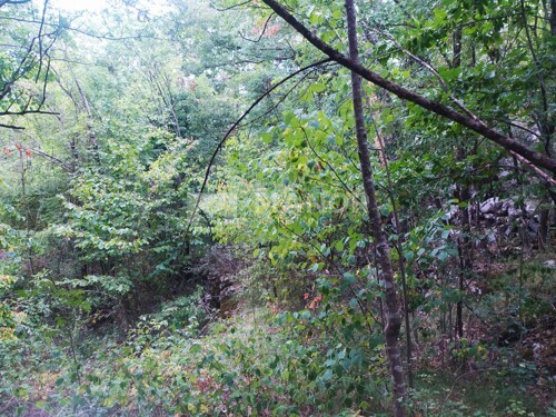 Thumbnail 5360338 - 2
