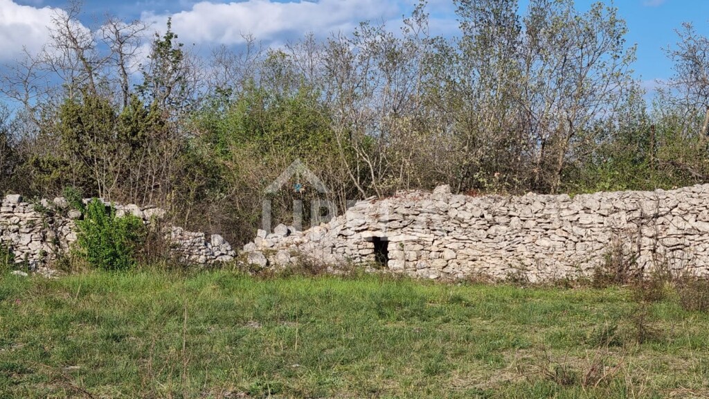 Image 5362441 - 4
