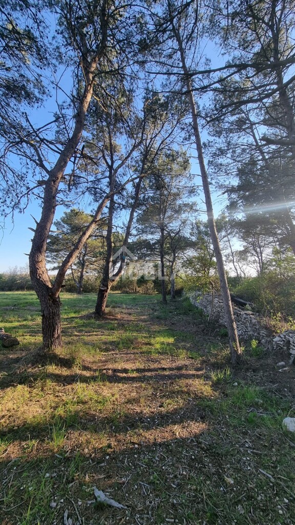 Image 5362441 - 2