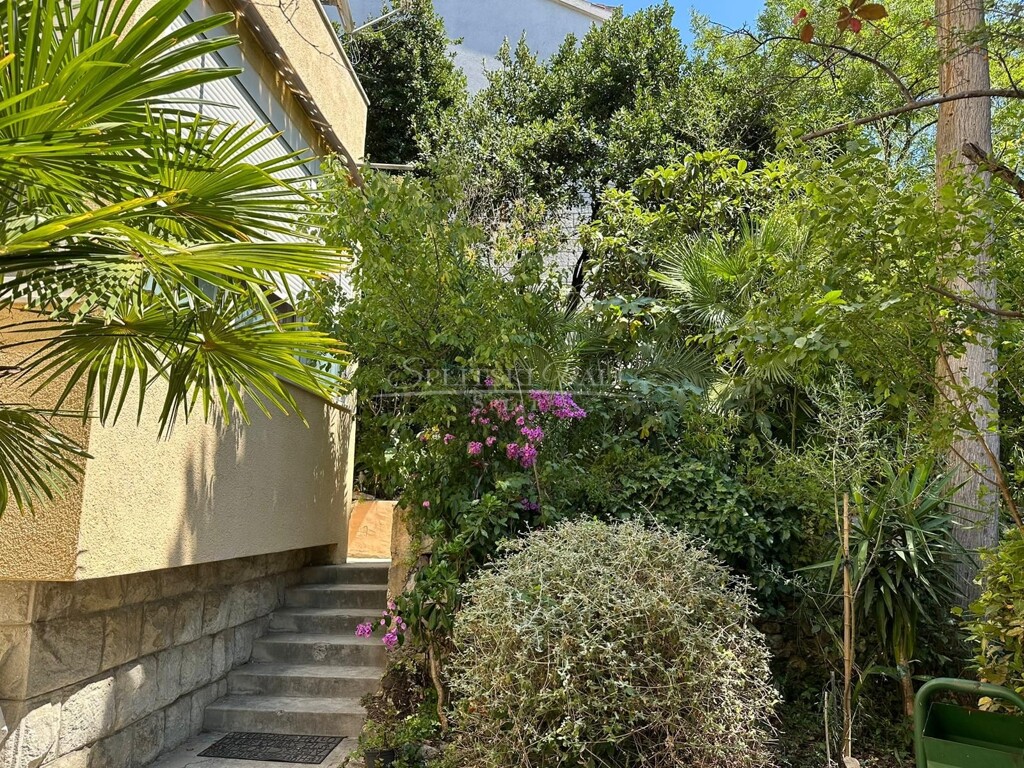 Image 5362914 - 13