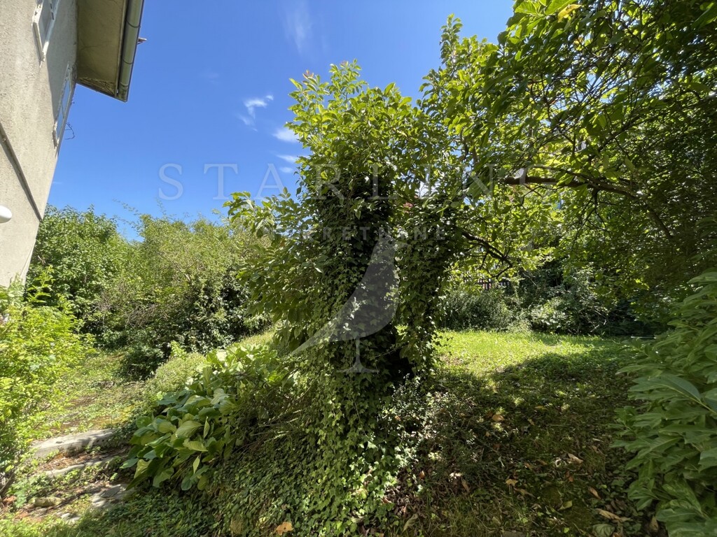 Image 5363792 - 8
