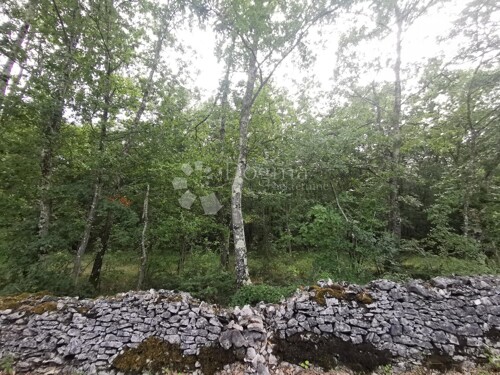 Thumbnail 5365116 - 1